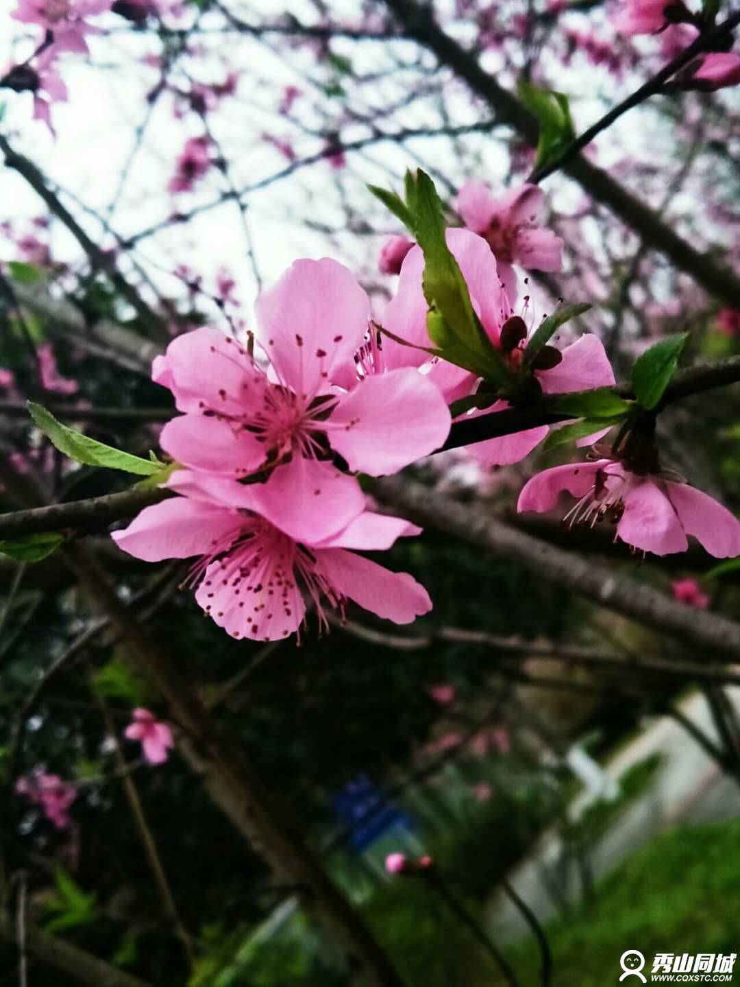 wechat_upload15212560515aac8673e28ac